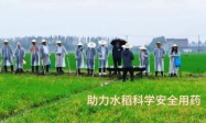 巢湖学院农业病虫害数智化诊断协作系统课题组助力稻田精准除草领域效能革新
