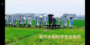 巢湖学院农业病虫害数智化诊断协作系统课题组助力稻田精准除草领域效能革新