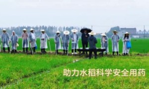 巢湖学院农业病虫害数智化诊断协作系统课题组助力稻田精准除草领域效能革新