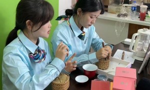黄山学院学子暑期实践：直播搭起助农桥，青春赋能促振兴