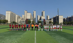 绿茵燃梦正青春    京东方杯激战正酣