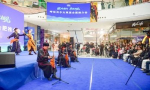 呼伦贝尔大草原文旅推介会在合肥“圈粉”