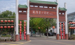 改革沃土寻初心 青春实践绘振兴 ——山东科技大学“嵙农智耘促进团”赴安徽省凤阳县小岗村开展暑期“三下乡”社会实践